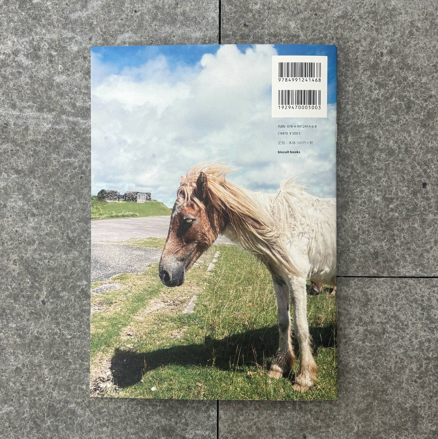 biscuit gallery press vol.4（送料込）