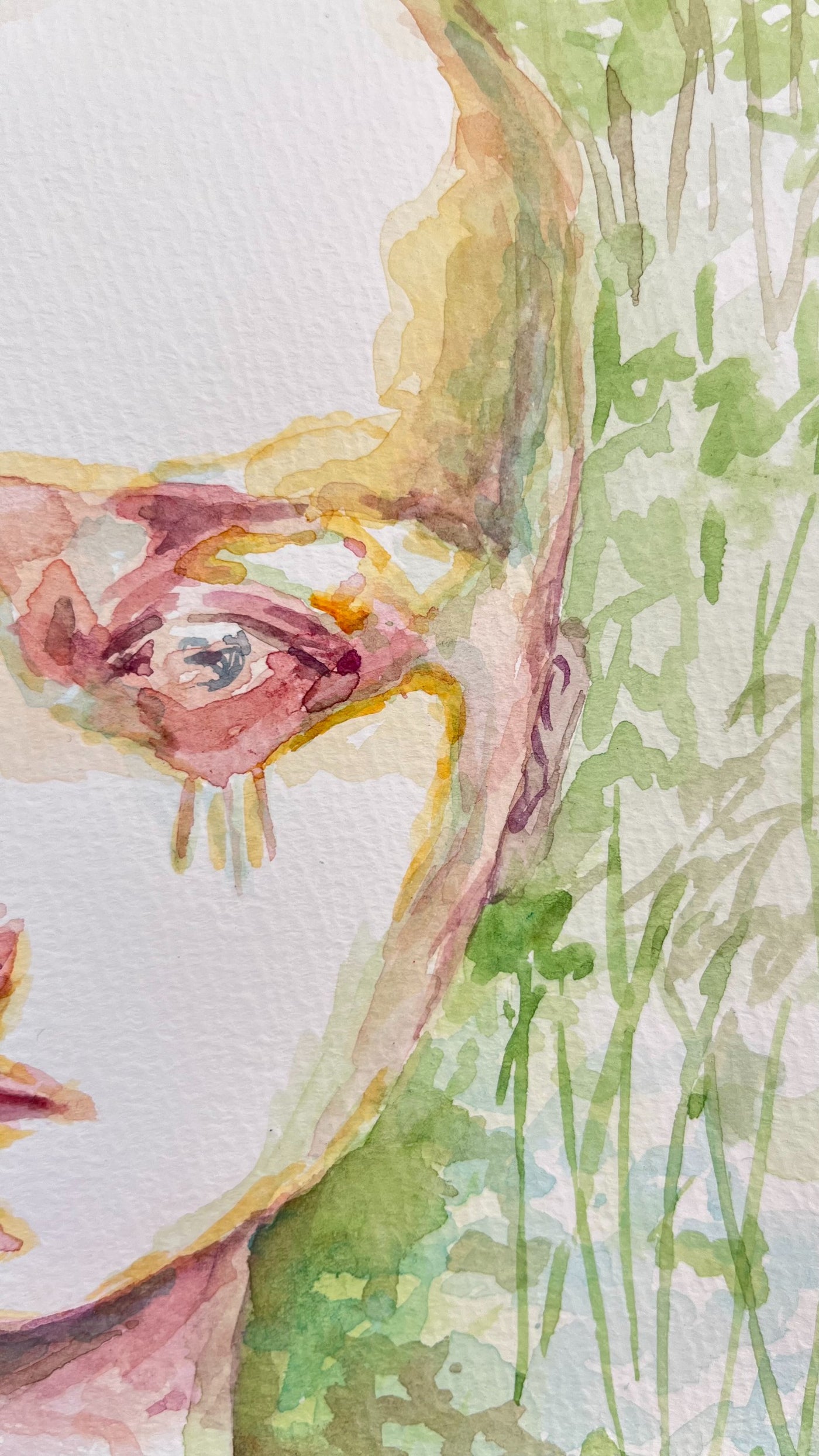 弓月《Drawing 2》